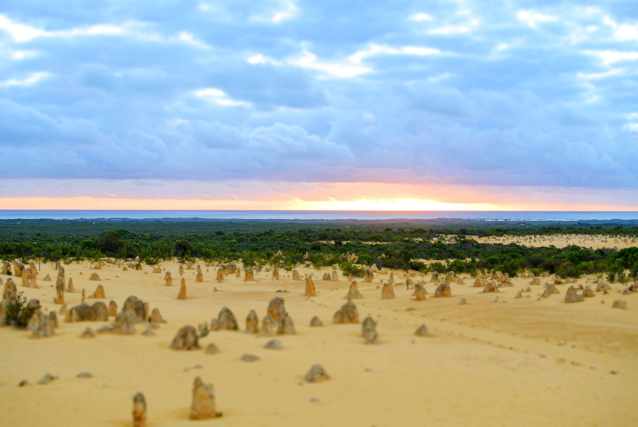 The Pinnacles Desert-1