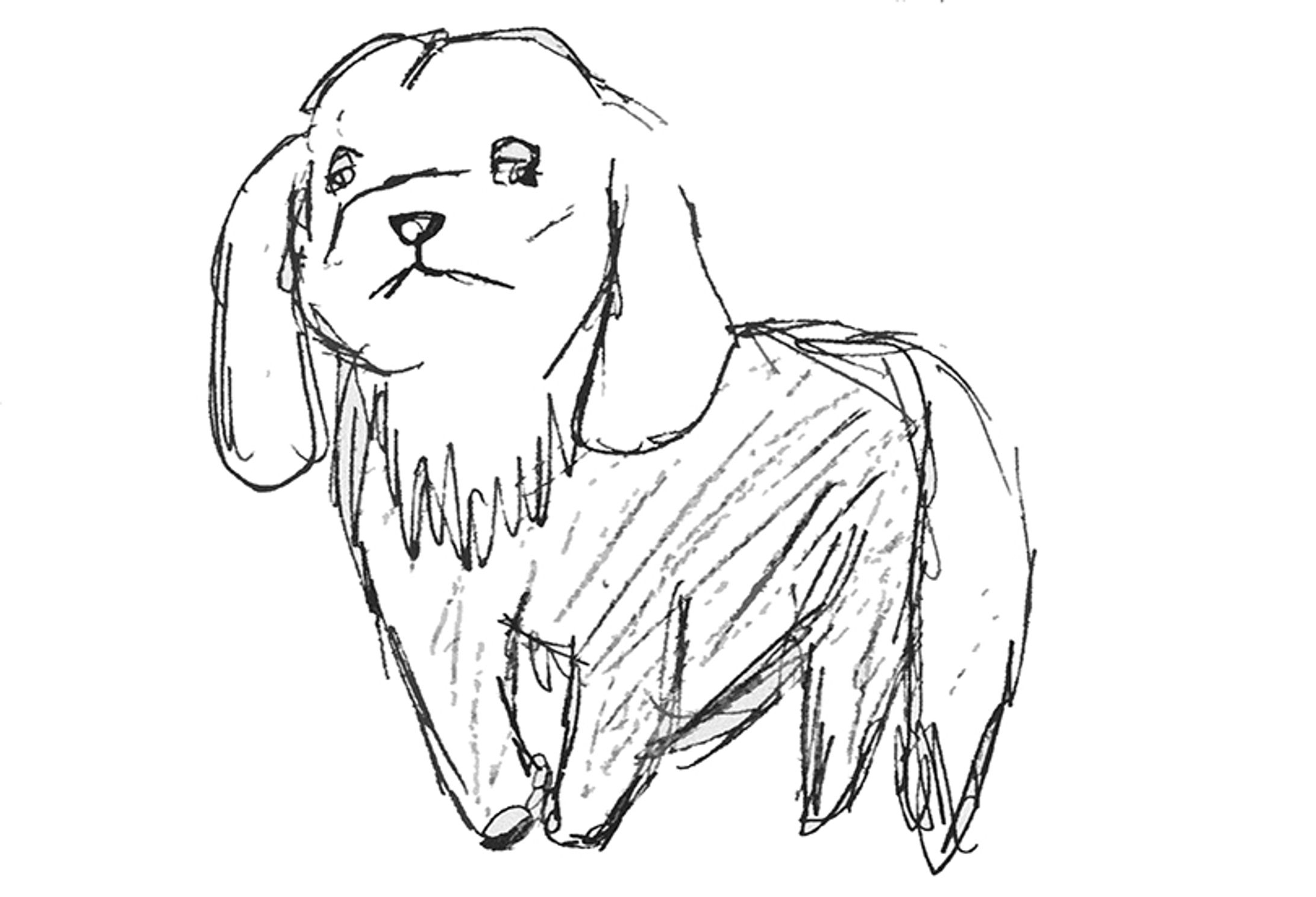 20110120_under dog-1