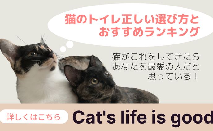 サムネ　ペット
