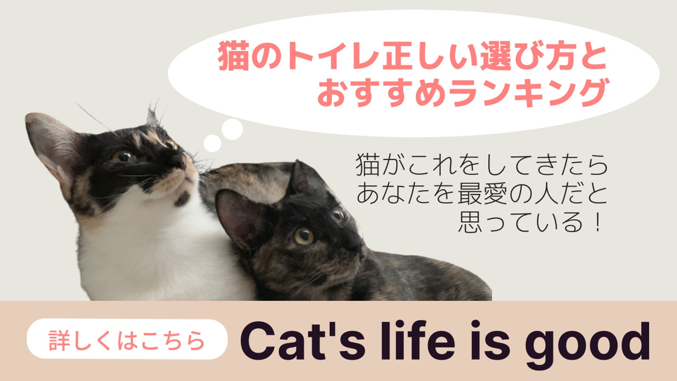サムネ　ペット-1