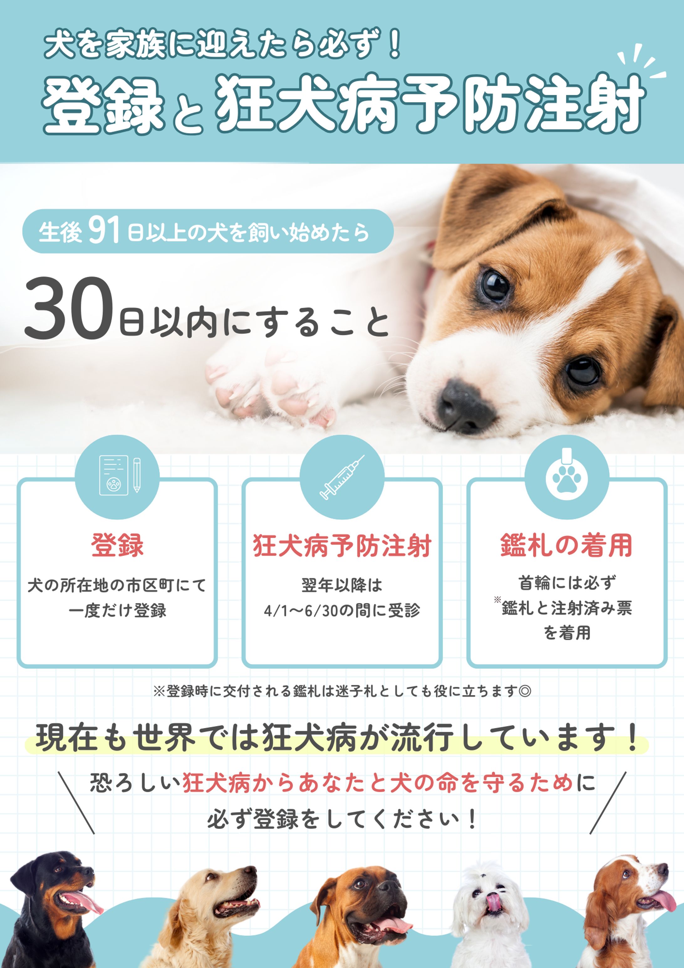 狂犬病のチラシ課題-1