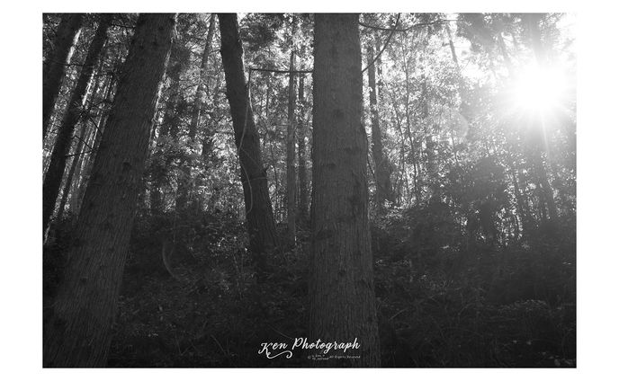 Monochrome...