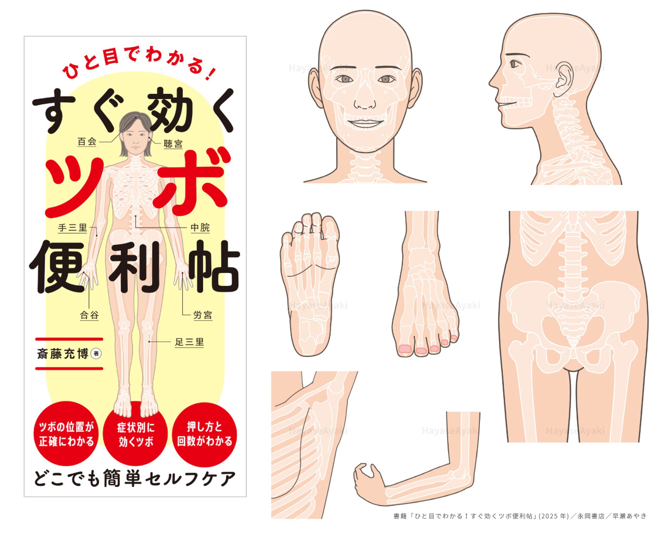 〈カバー・挿絵〉書籍「ひと目でわかる！すぐ効くツボ便利帳」-1