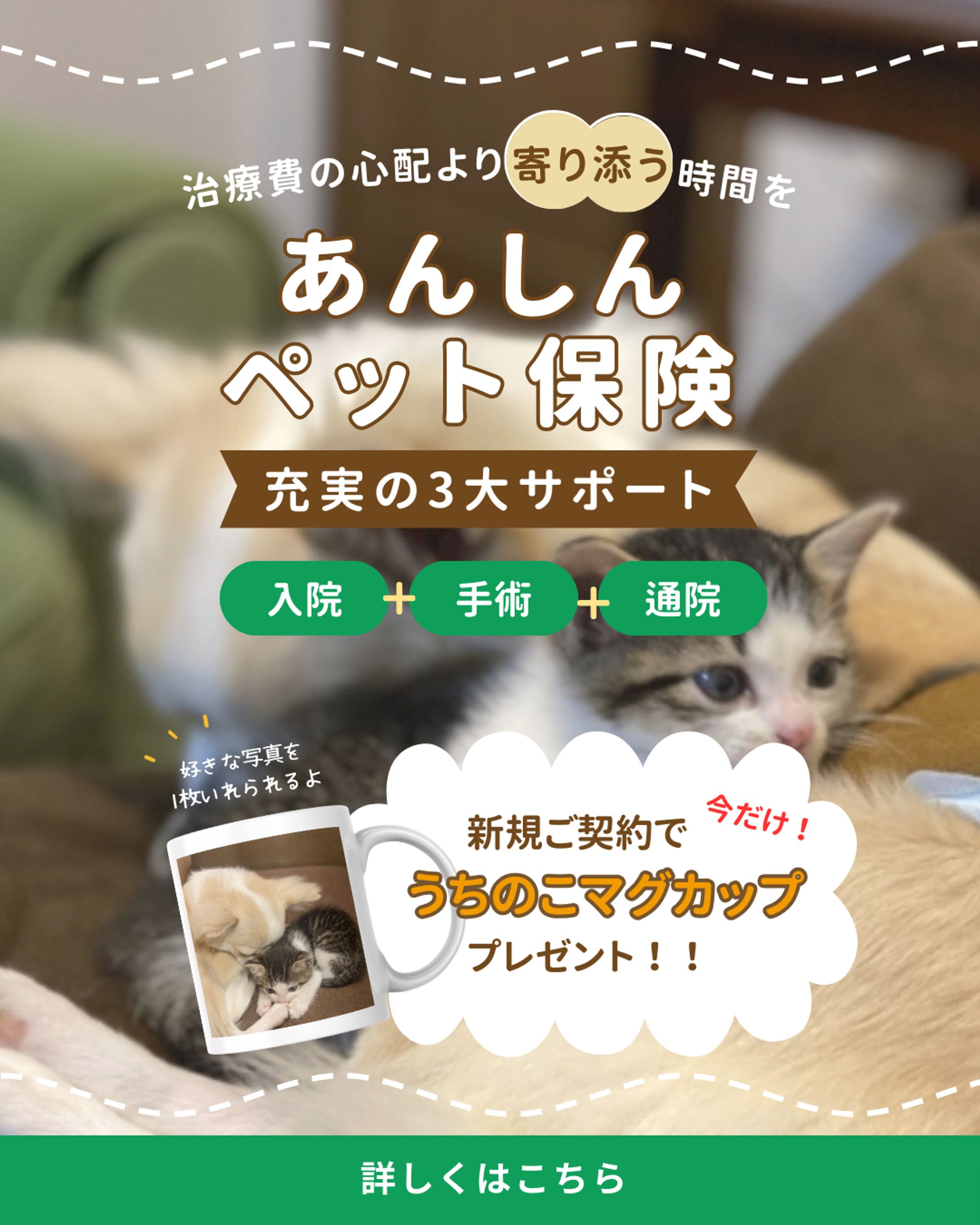 ペット保険_Instagramバナー-1