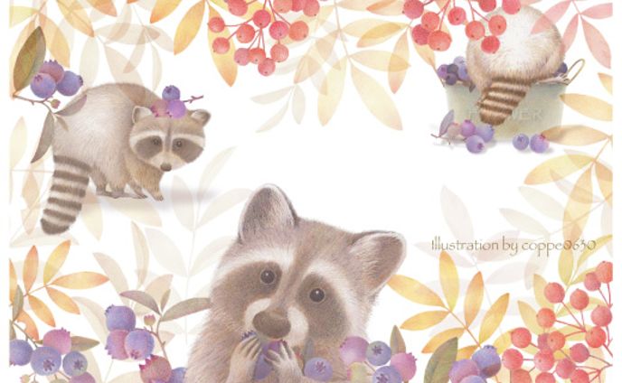 アライグマとブルーベリー