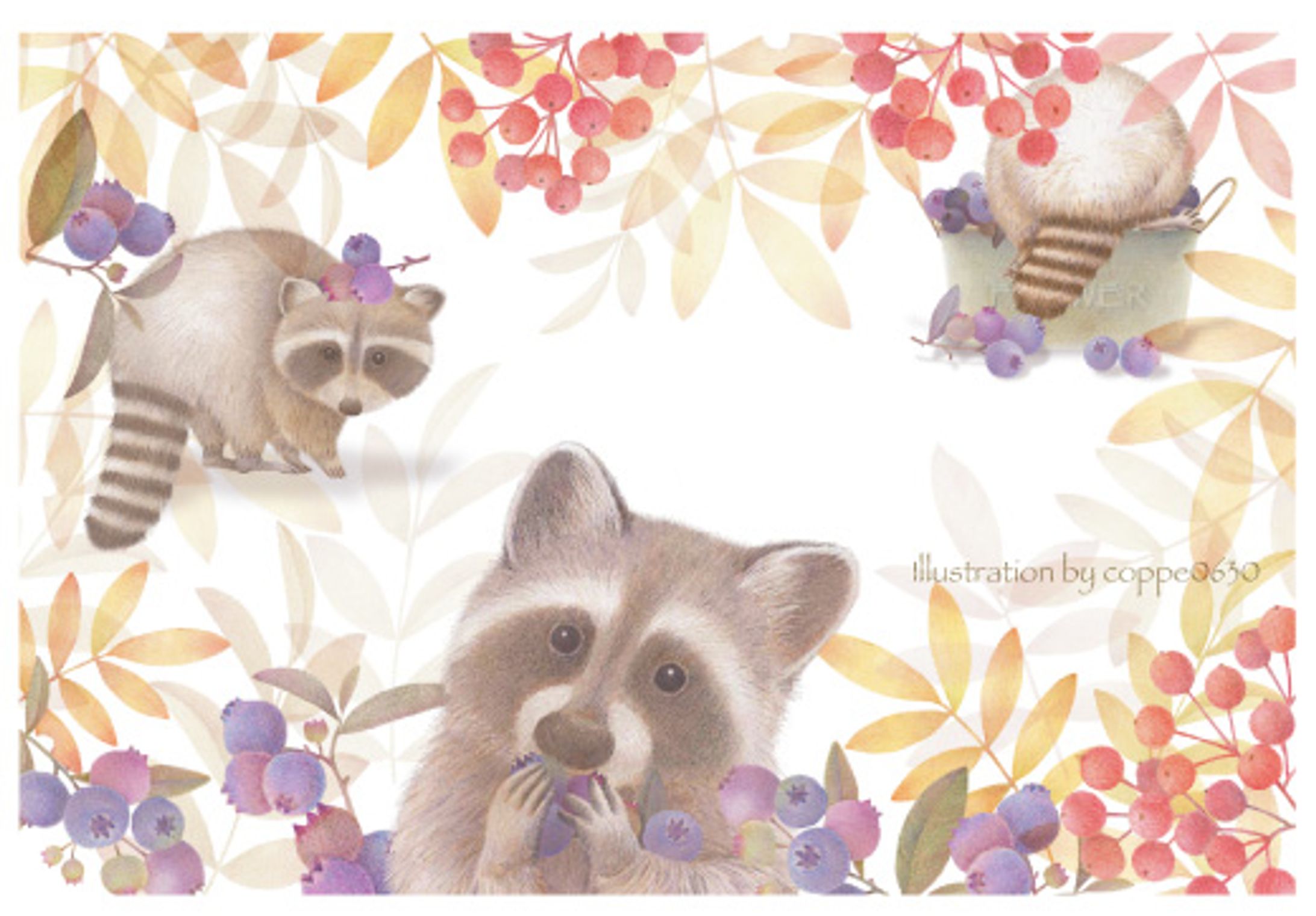 アライグマとブルーベリー-1