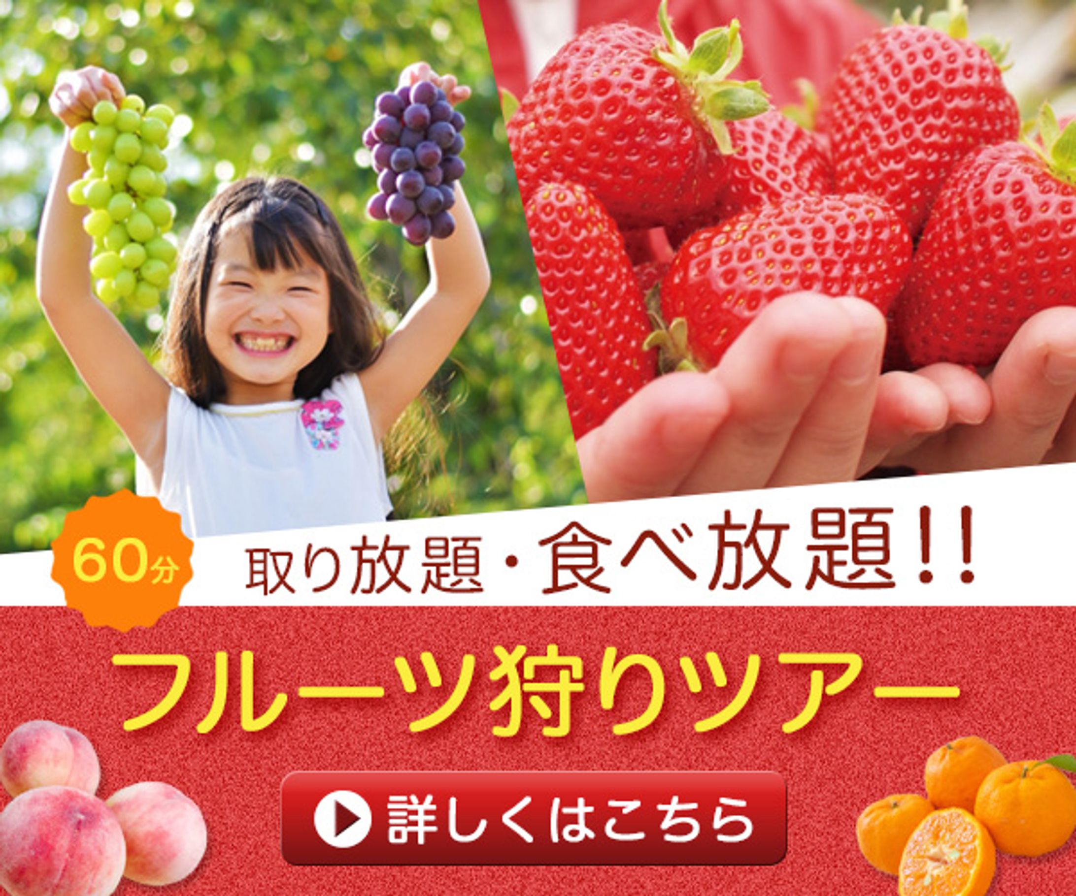 バナー：フルーツ狩りツアー-1