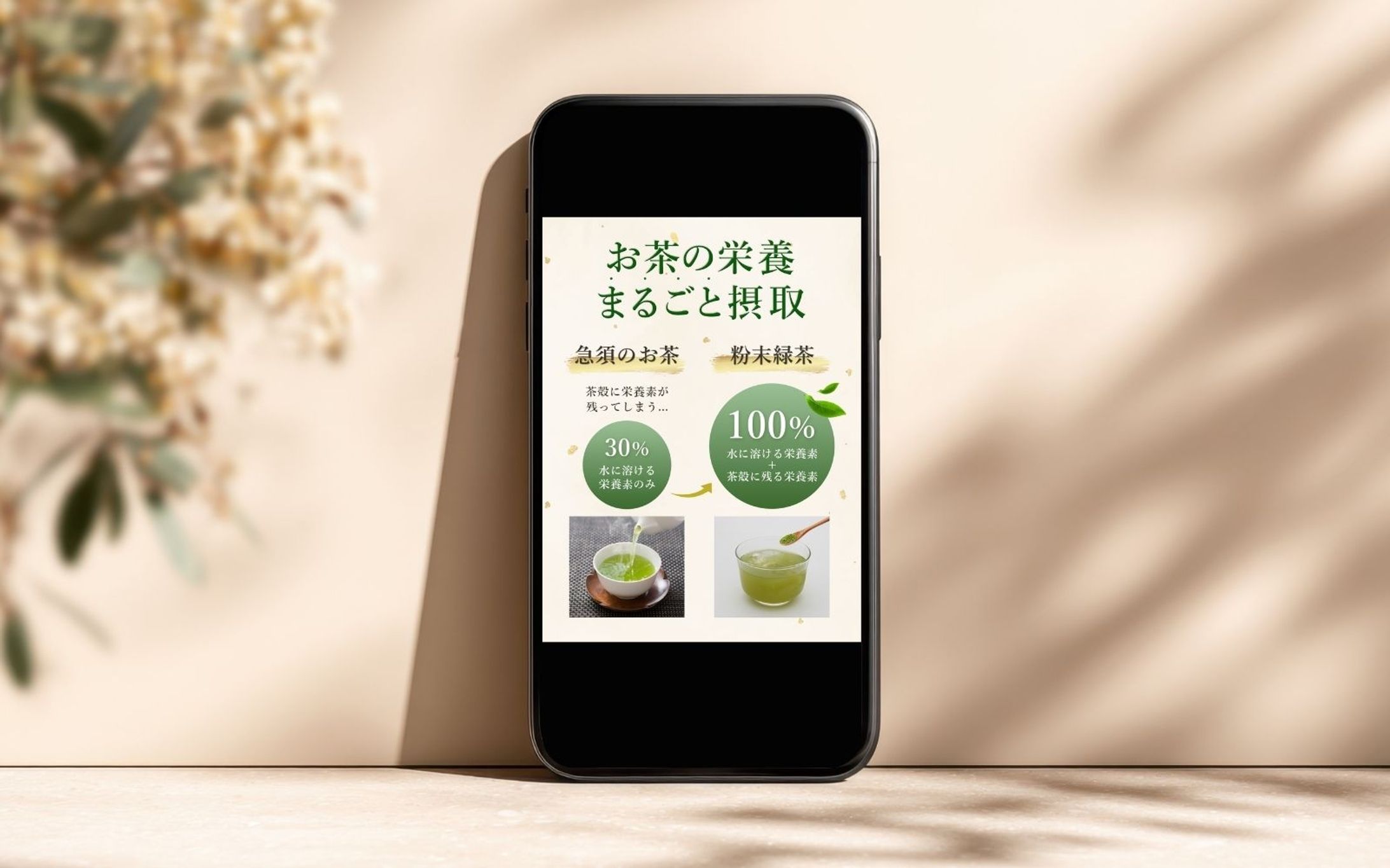 EC商品画像 ┊ 粉末緑茶-1