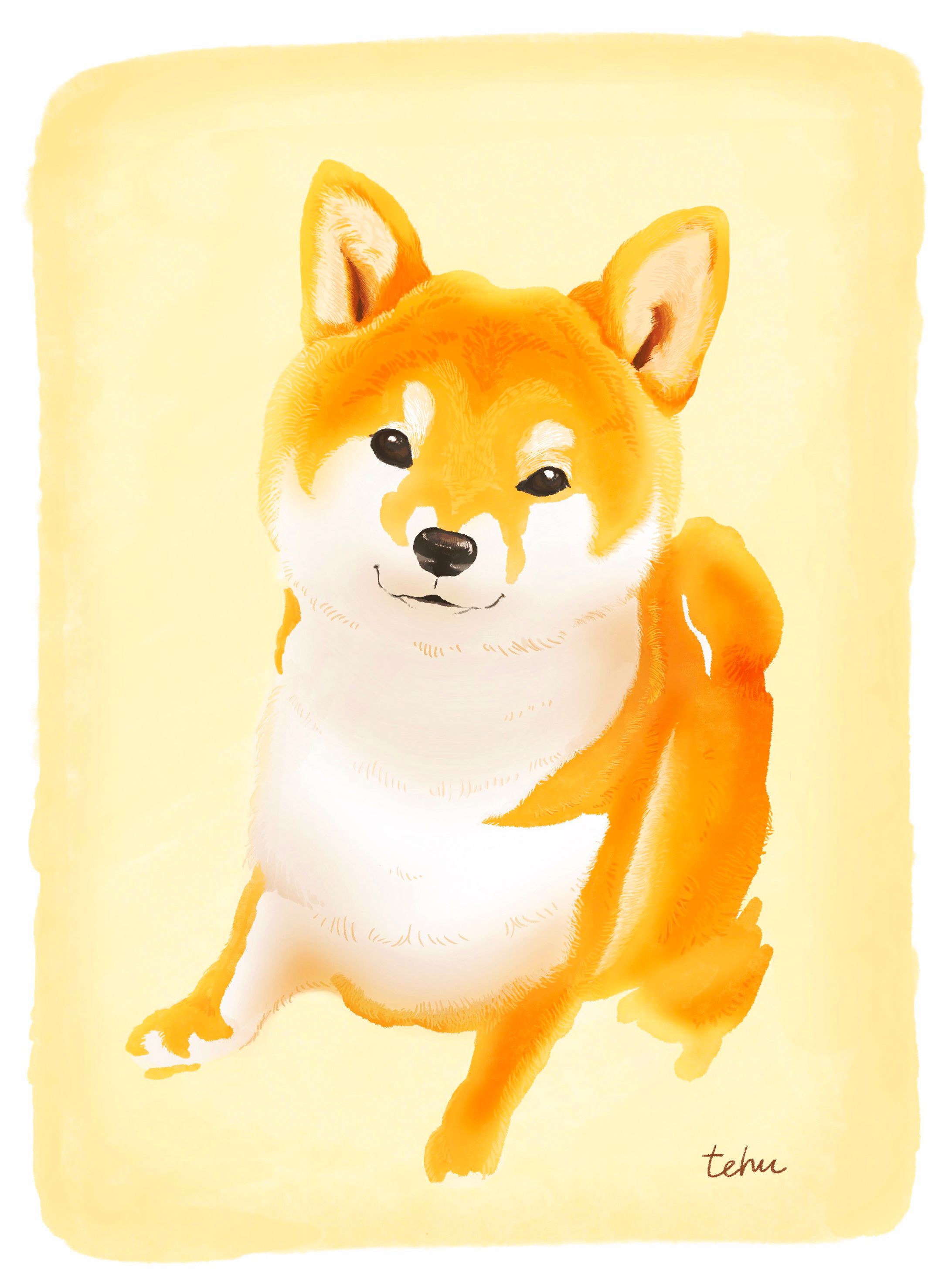 柔らかいタッチの柴犬-1