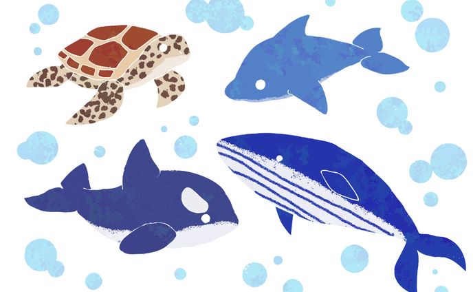 collabo、生き物