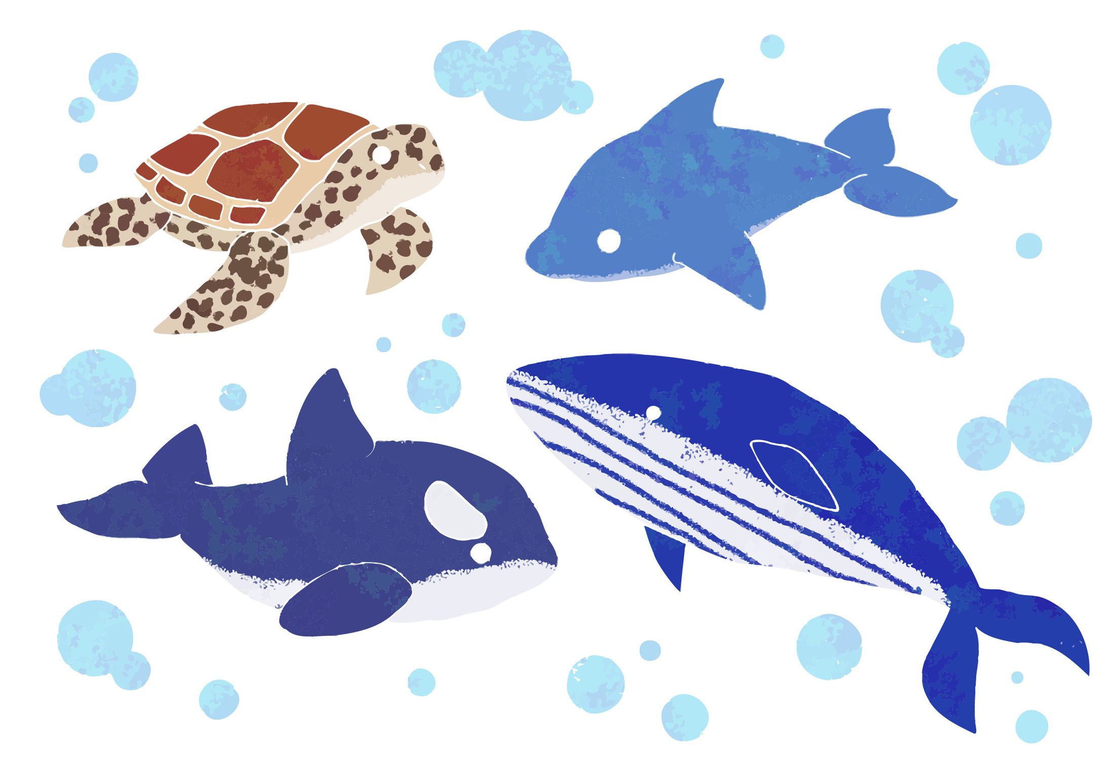 海の生き物たち-1