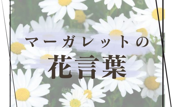  Instagram投稿