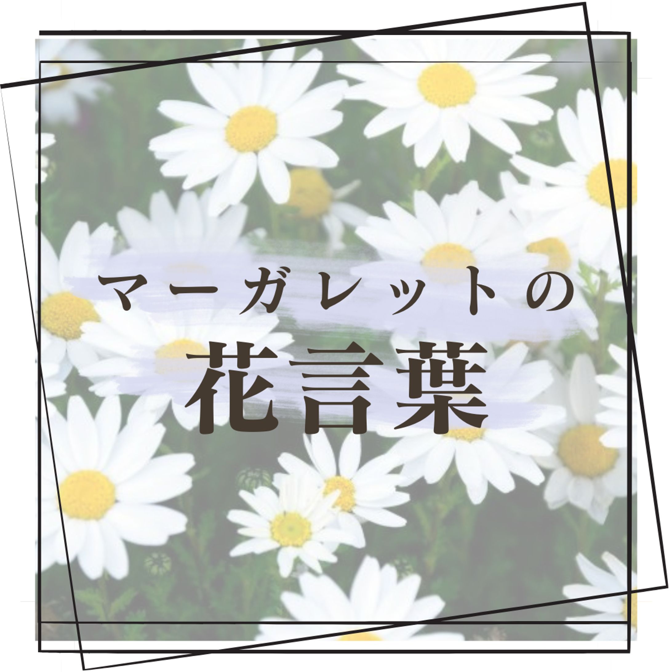  Instagram投稿-1