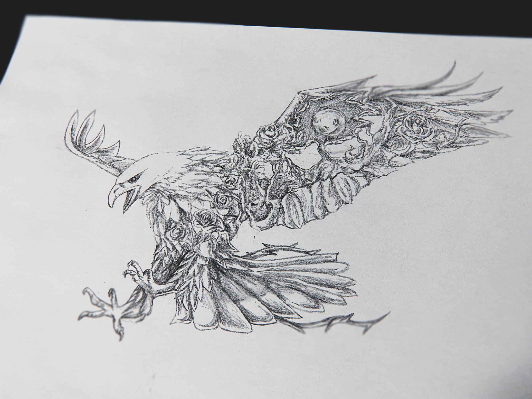 Illustration-eagle--1
