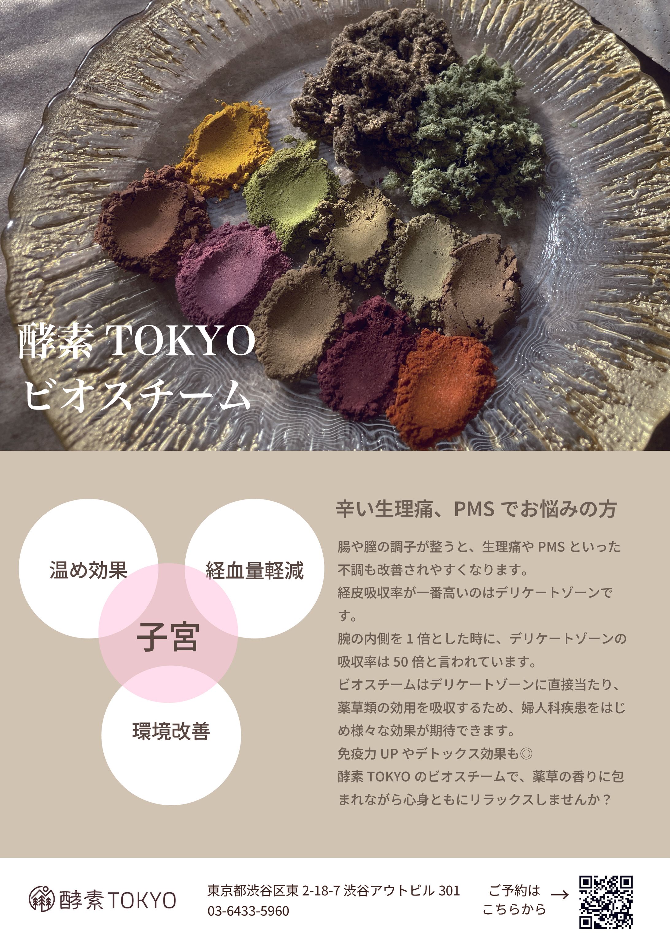 ビオスチーム チラシ-1