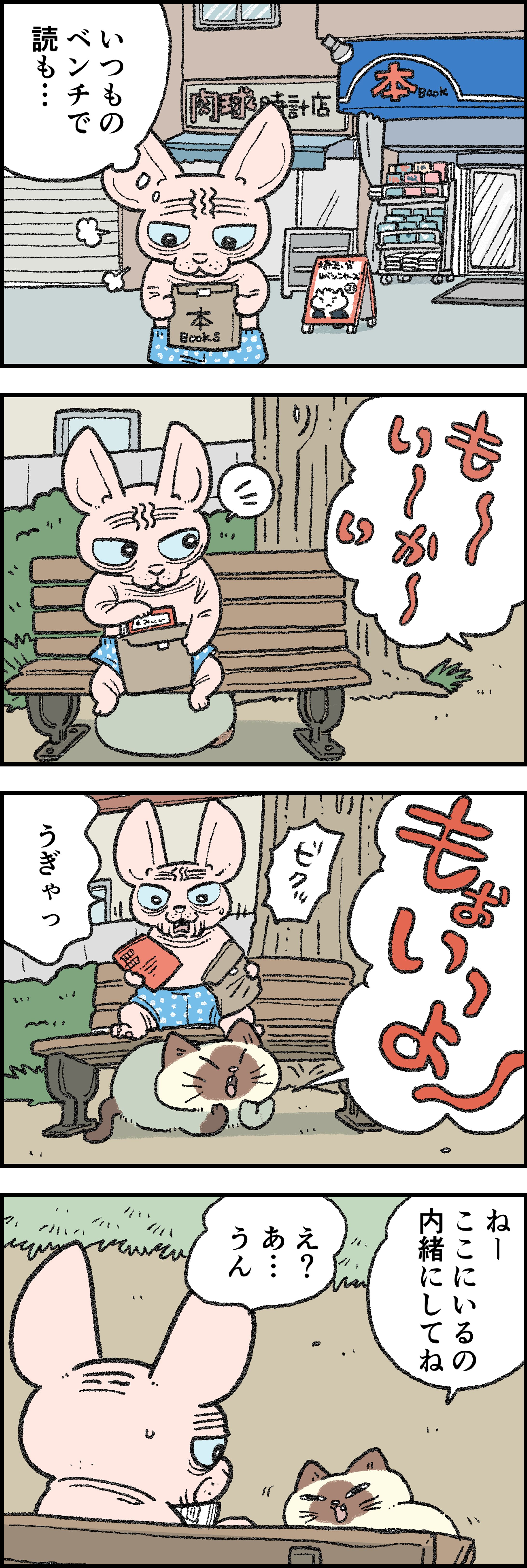 猫のおふくちゃん-1