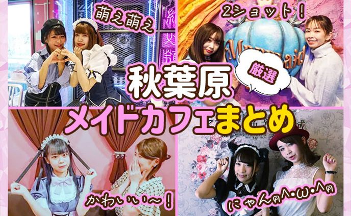 ai、ゆるかわ
