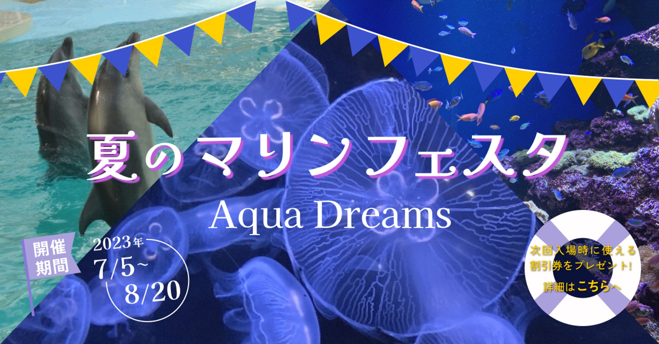 【バナー】水族館期間限定フェス-1