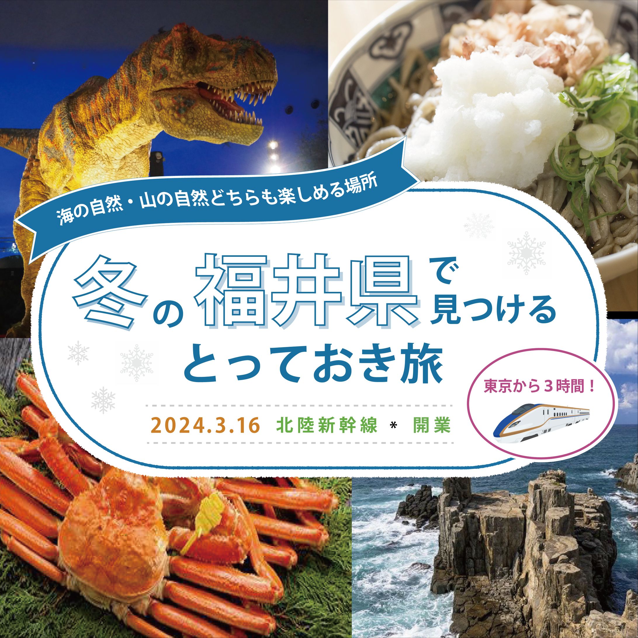 福井県バナー-1