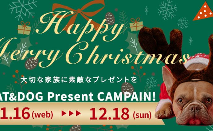 ペット用品クリスマスキャンペーン