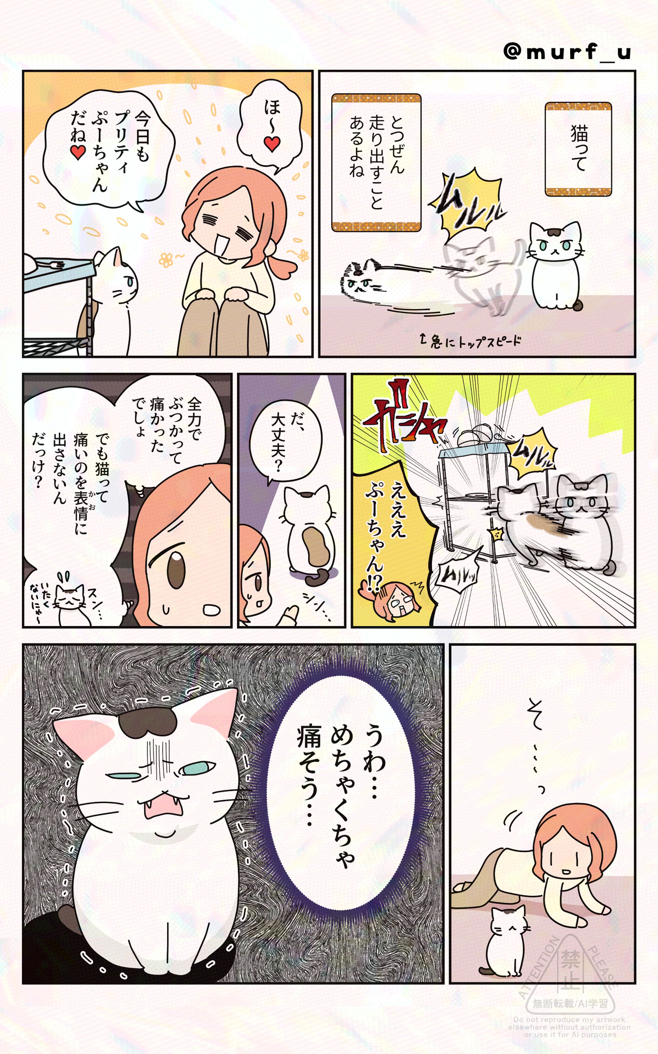 猫って意外と…-1