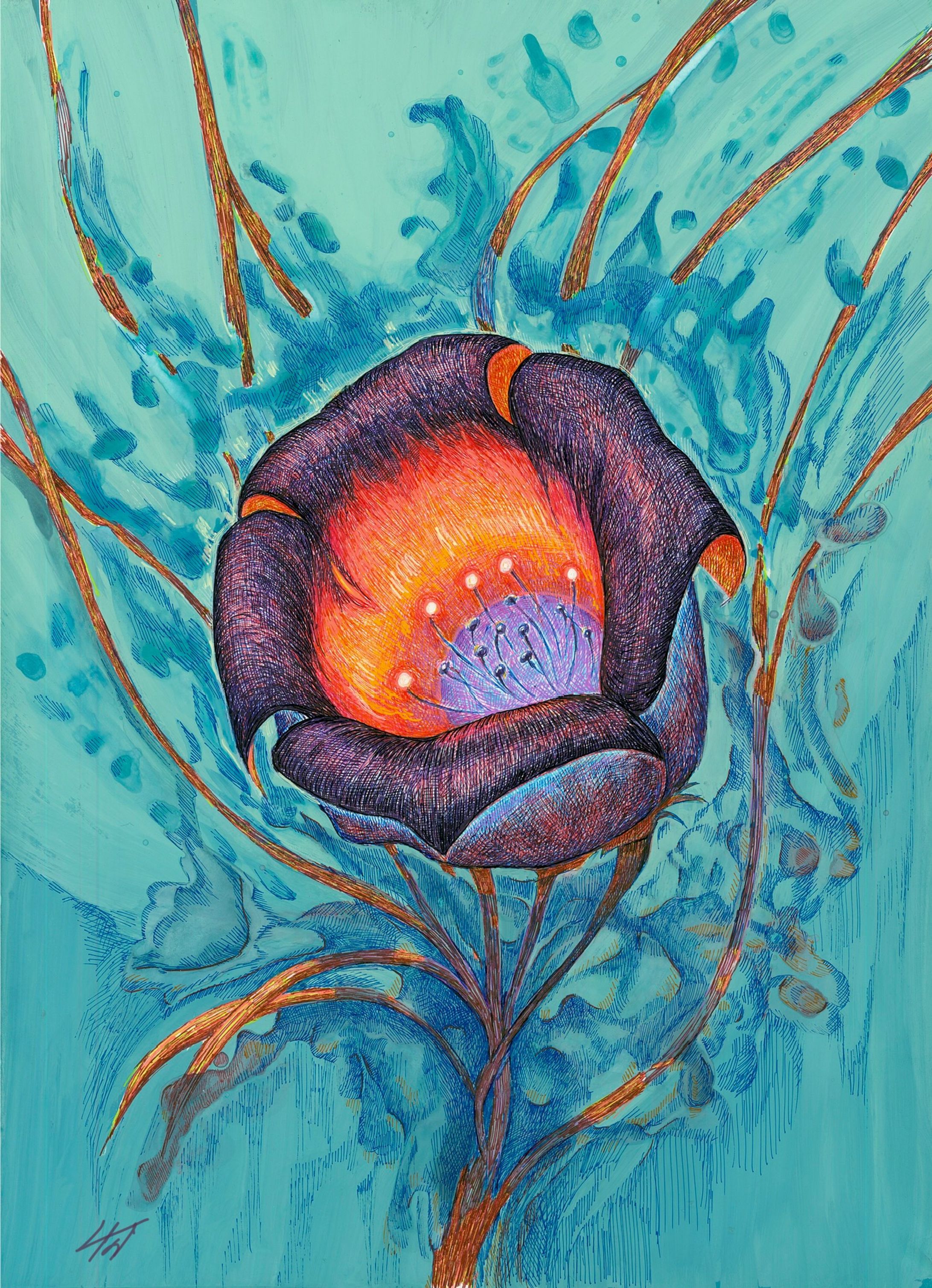 Blume-2   2023.12-1