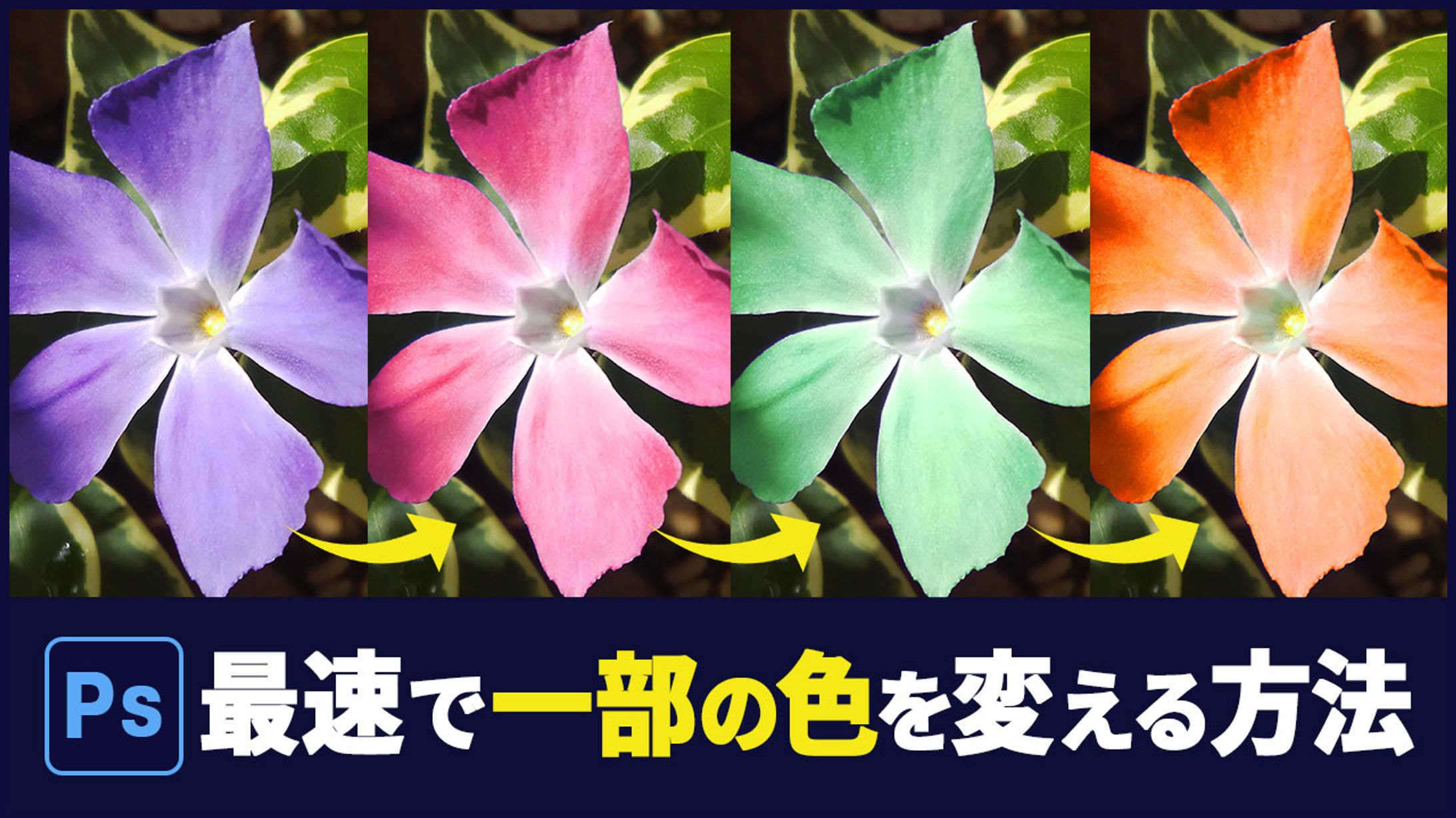 チュートリアル系サムネ-1