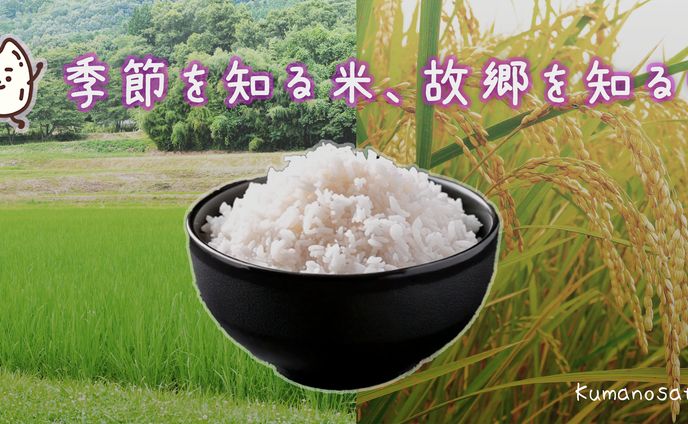 【バナー】農業｜日本のお米PR用