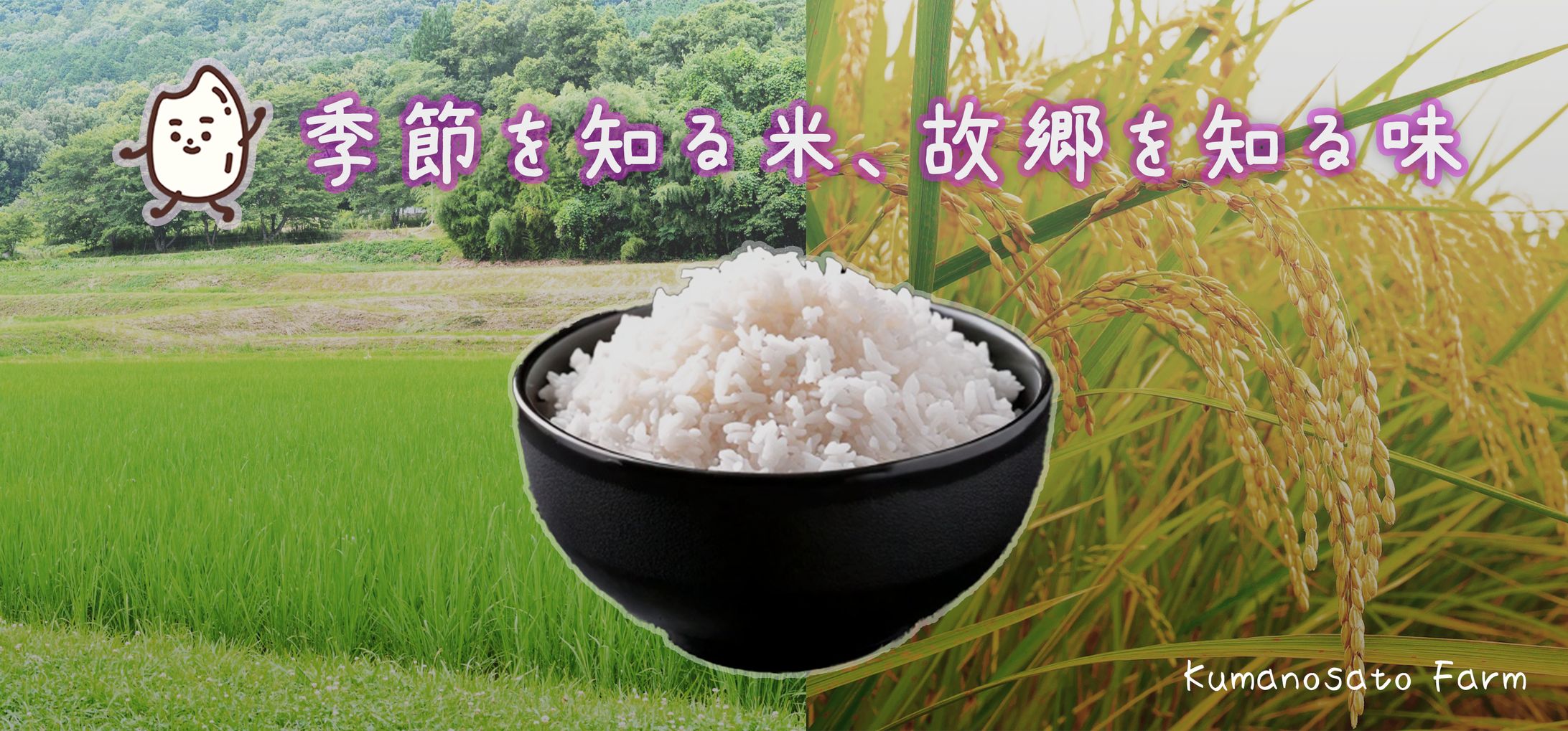 【バナー】農業｜日本のお米PR用-1
