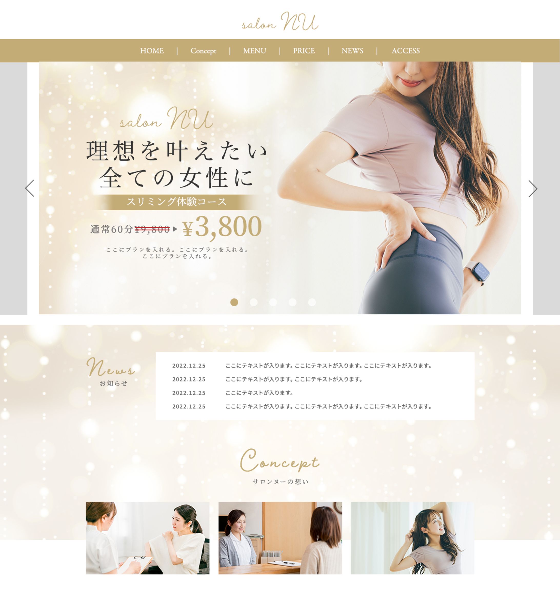 エステサロンサイト FV-1