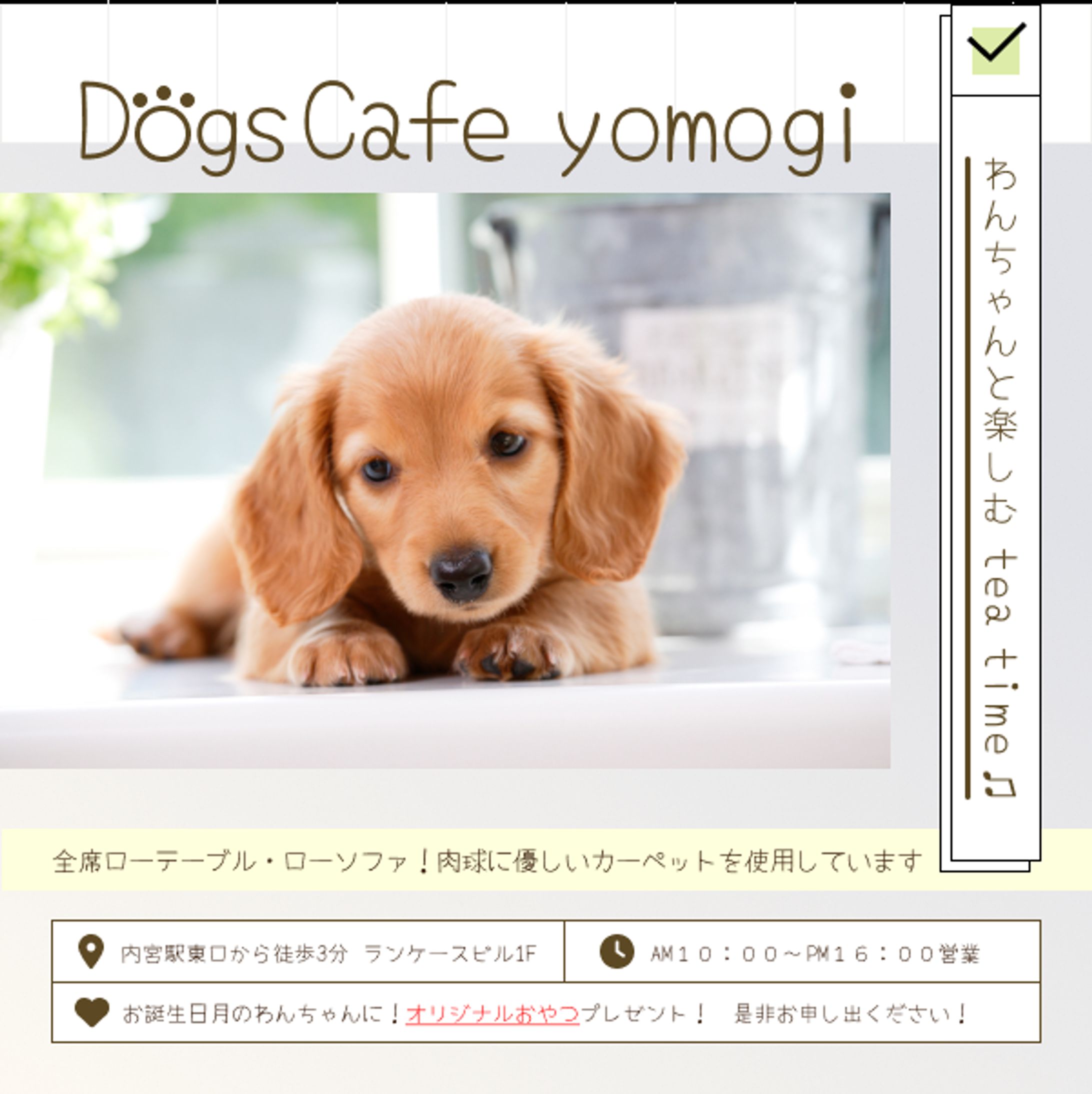 犬カフェ　バナー-1
