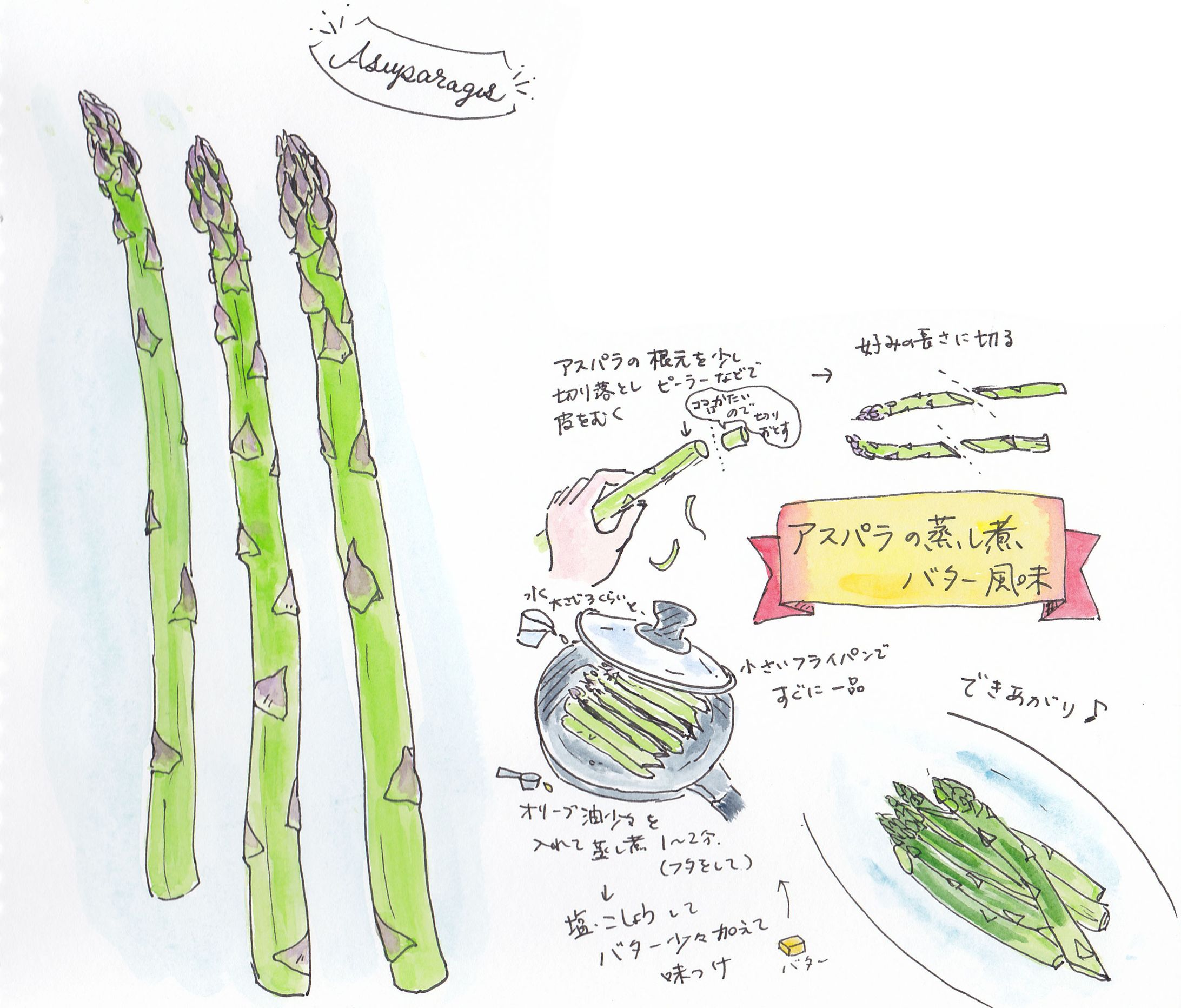 イラストレシピ-1