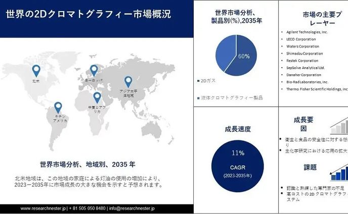 2D クロマトグラフィー市場調査: 2035年までのアプリケーション、トレンド、規模、シェア別の成長分析
