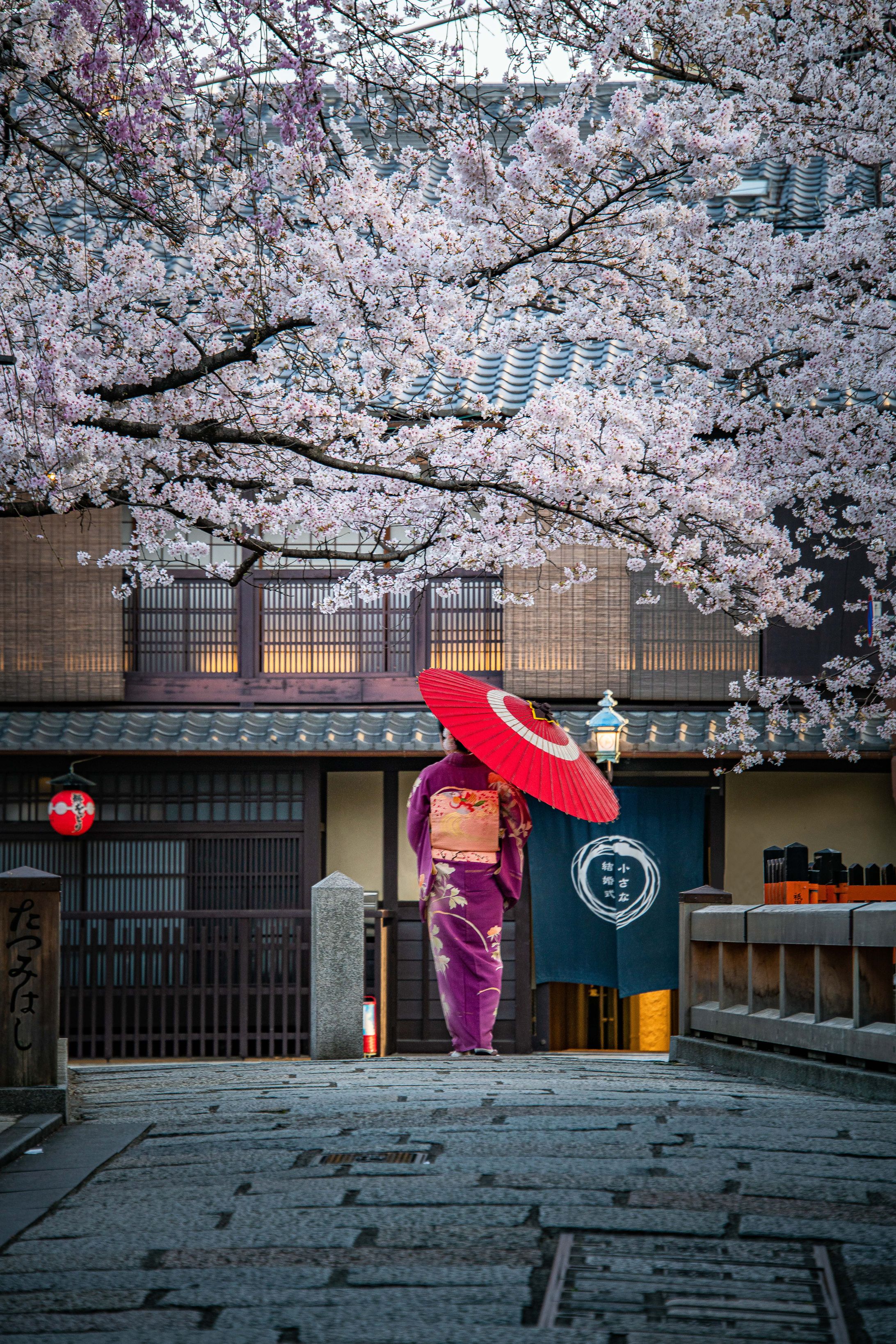 京都着物ポートレート-1