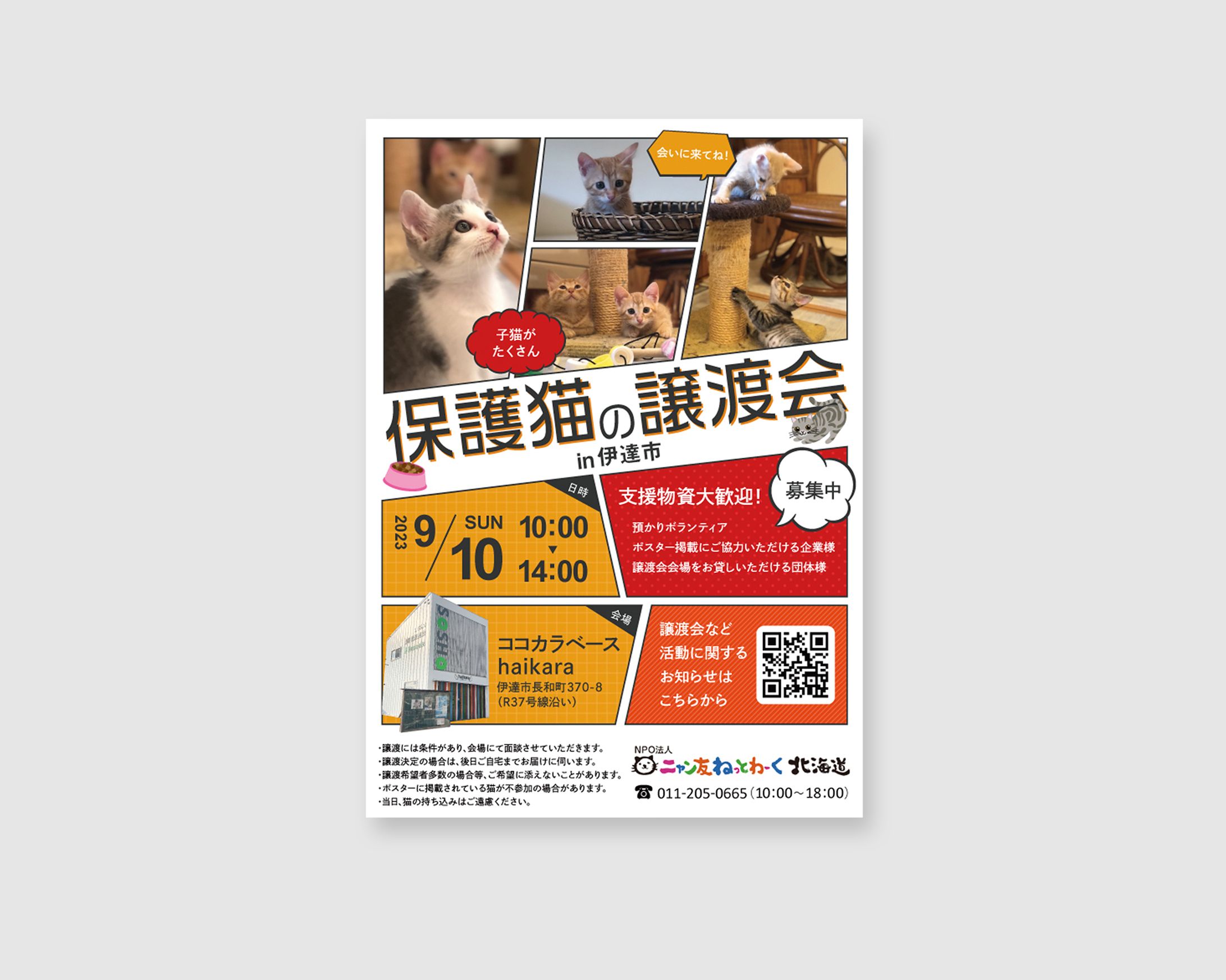 【実績】保護猫の譲渡会ポスター（2023年9月10日）-1