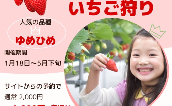 いちご狩りInstagramフィード広告