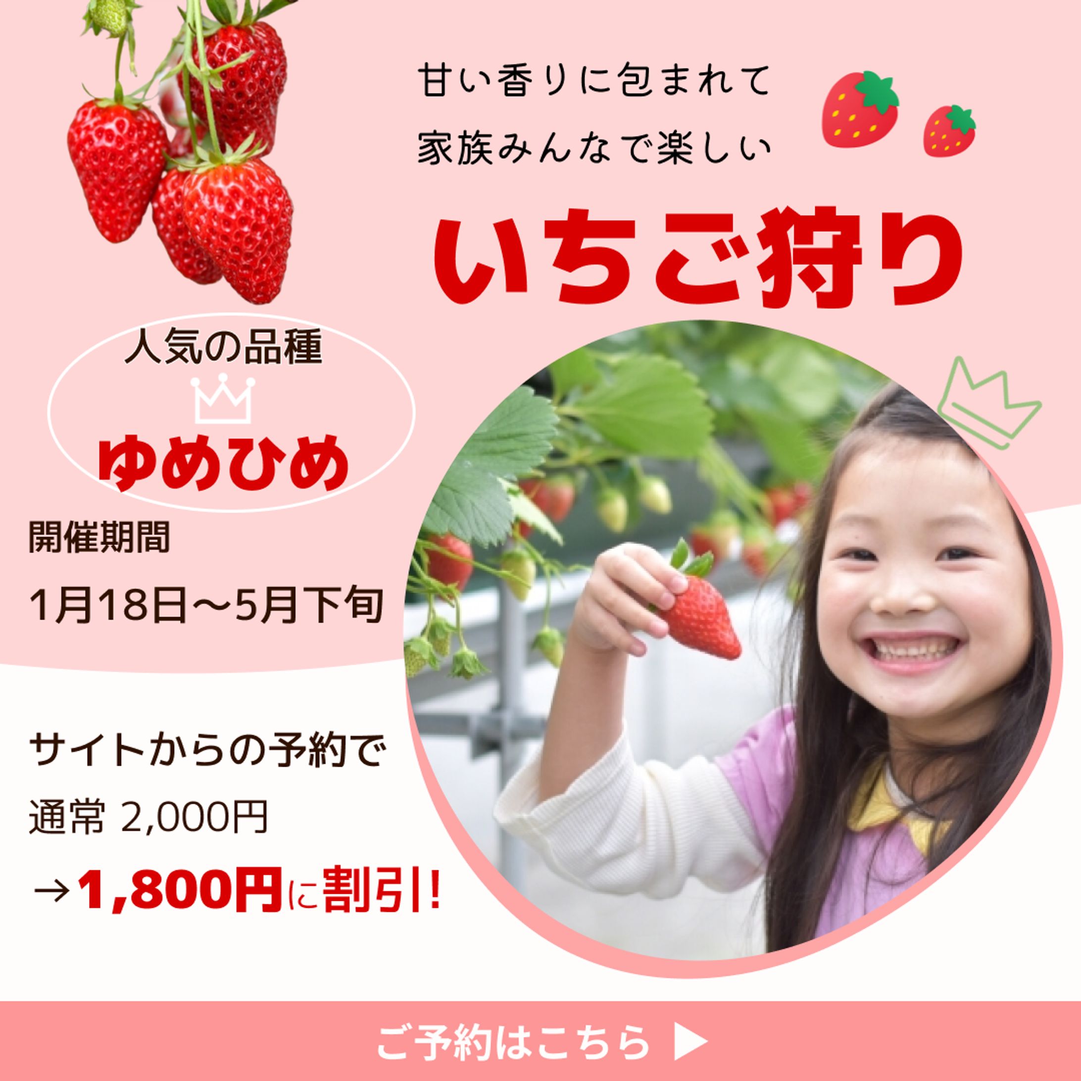 いちご狩りInstagramフィード広告-1