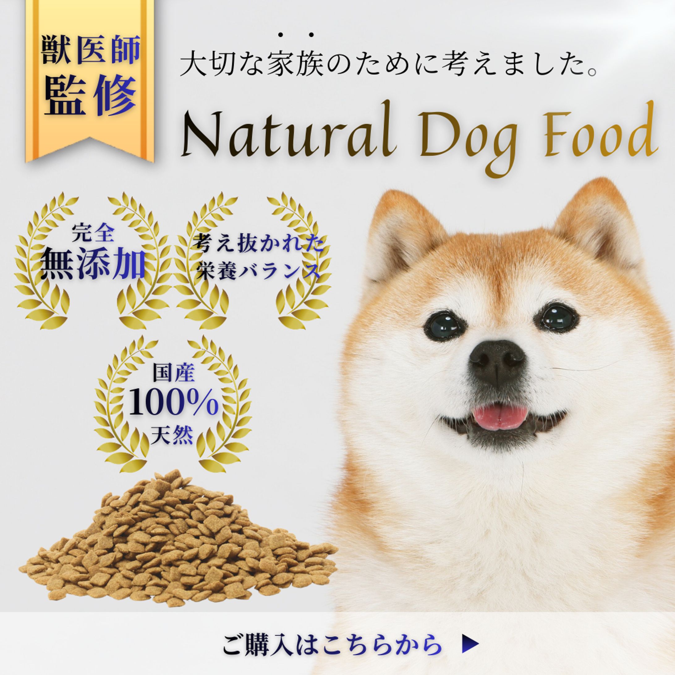 【ブラッシュアップ】ドッグフード広告バナー-1