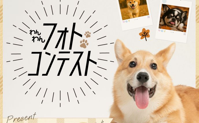 バナー：わんちゃんフォトコンテスト