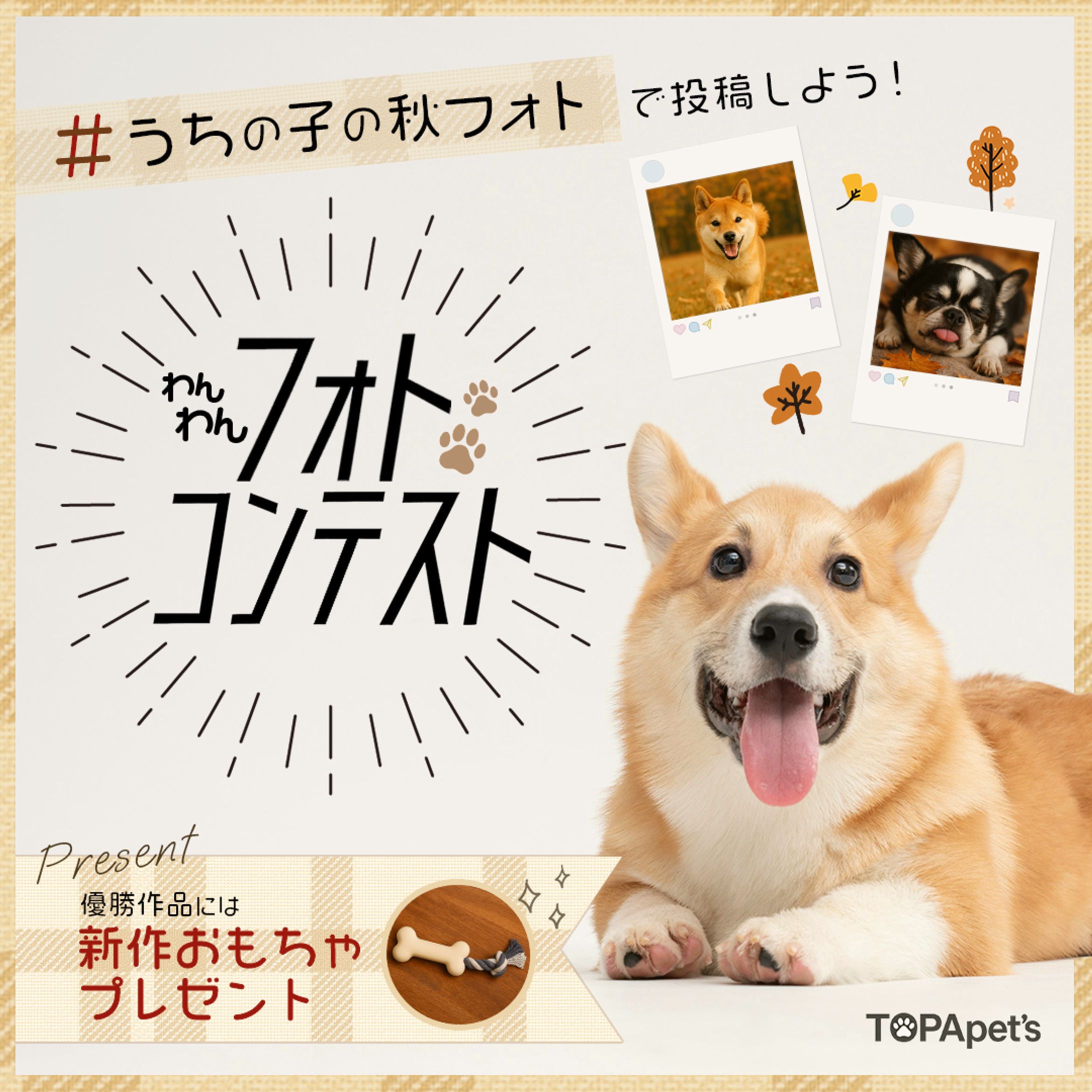 バナー：わんちゃんフォトコンテスト-1