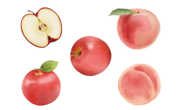 お絵かき、ディレクション