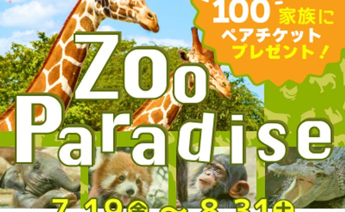 動物系、自然