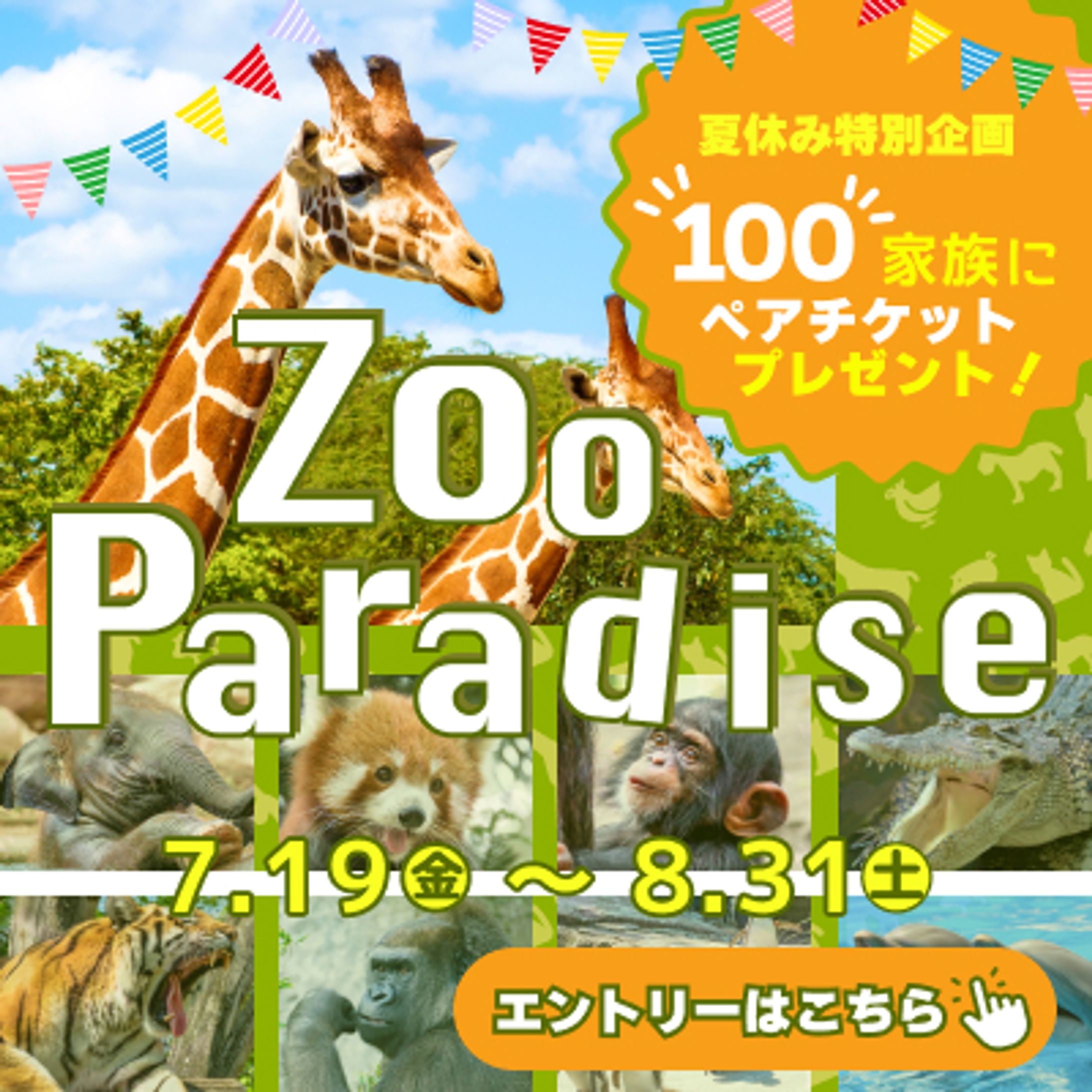 動物園バナー-1