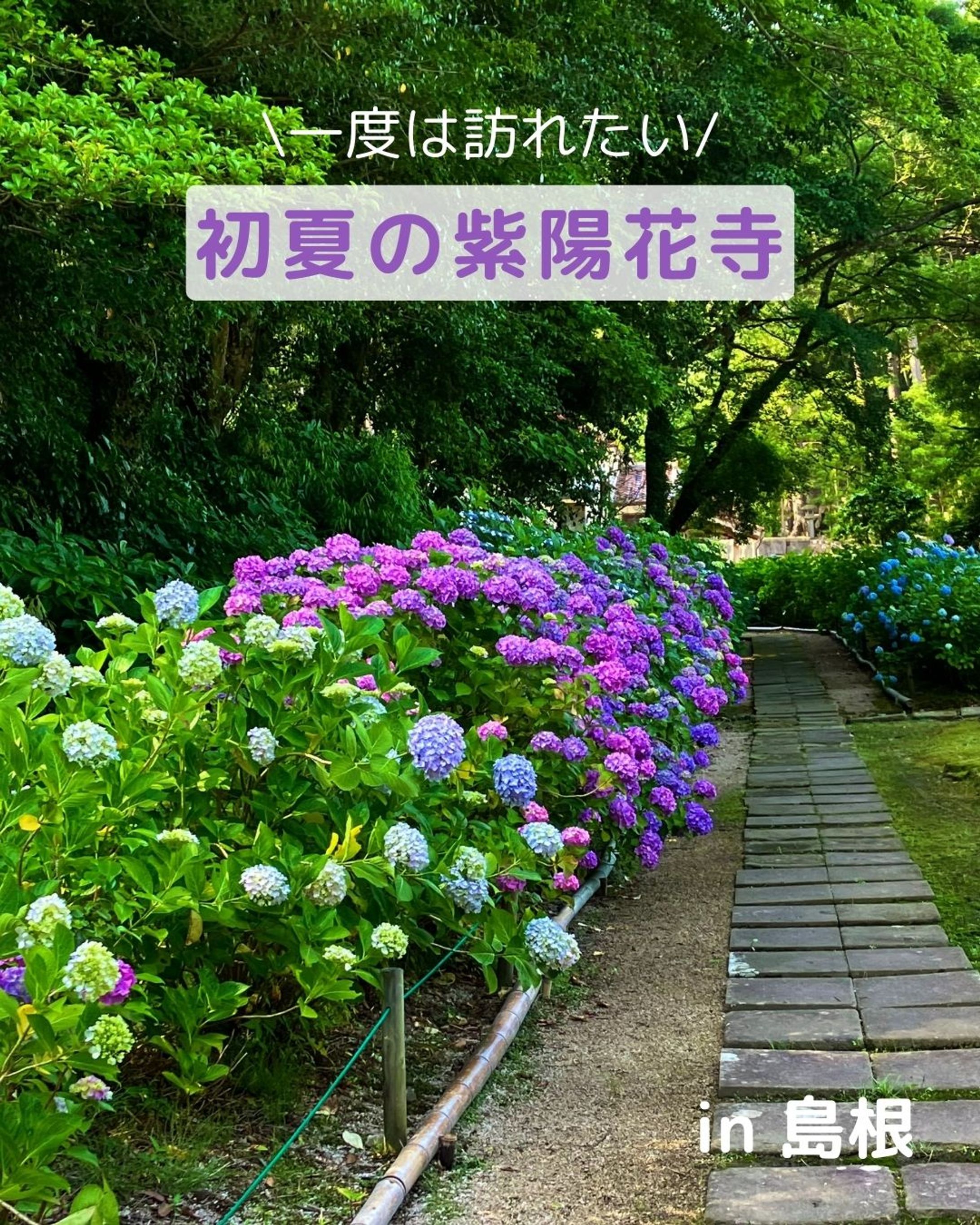 紫陽花の名所月照寺.zip   -1