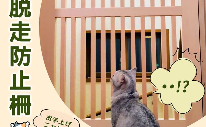 バナー：動物と暮らせる住まい