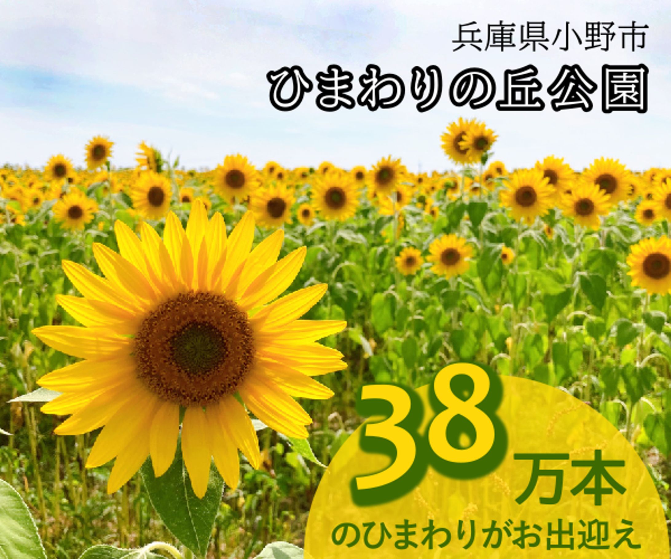 観光地バナー-1