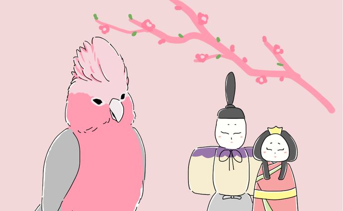 【1年】、変身ヒロイン
