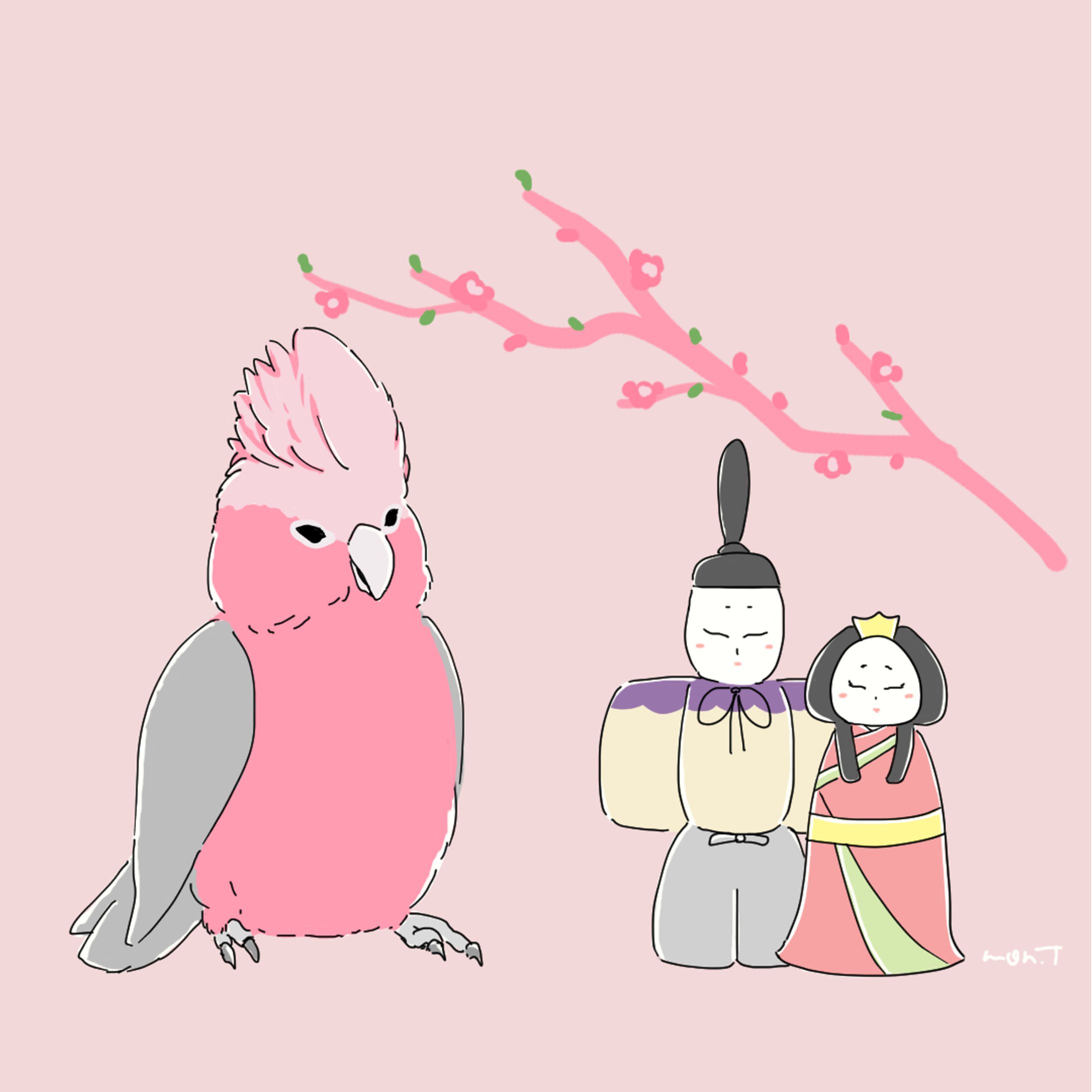 モモイロインコ-1