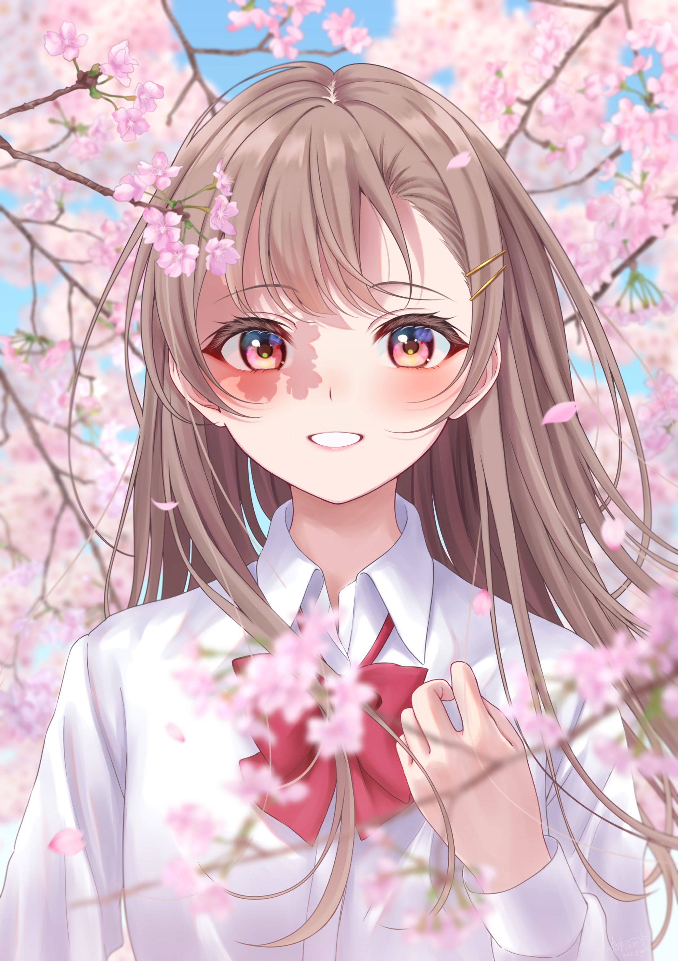  Cherry Blossoms-1
