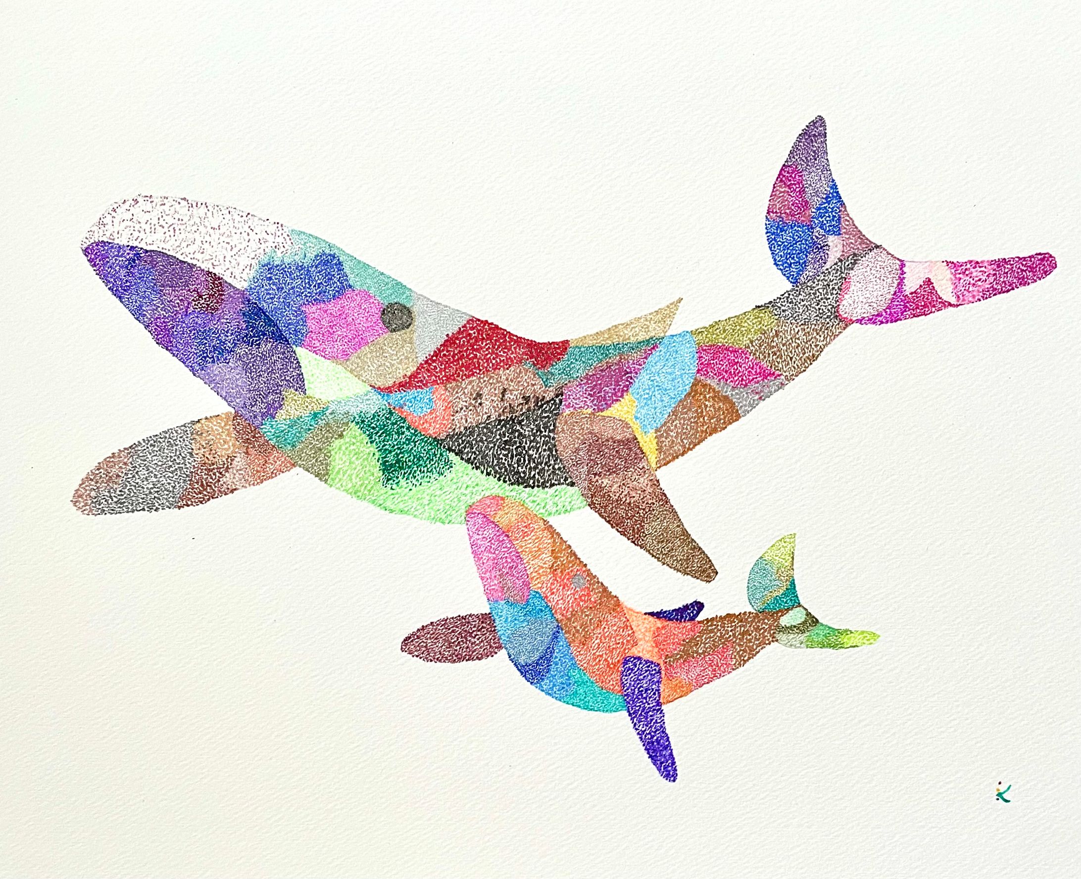 シロナガスクジラの親子-1